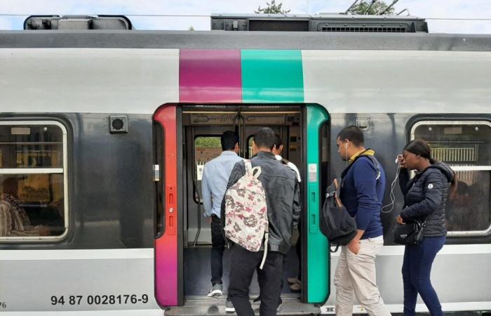 SNCF. Accident mortel sur le Transilien, trafic interrompu sur plusieurs lignes en Seine-Saint-Denis