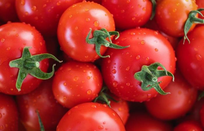 Les sauces tomates présentées comme « italiennes » proviendraient du travail forcé des Ouïghours en Chine