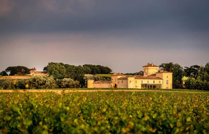 L’âge d’or du Sauternais