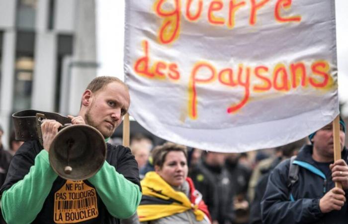 Le monde agricole maintient la pression sur Berne