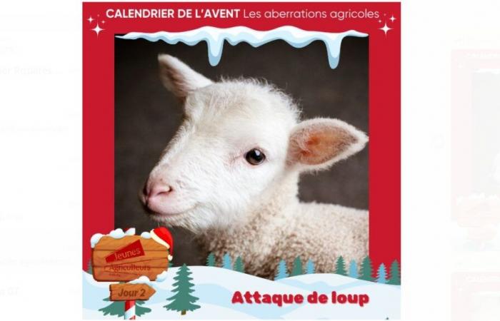 en Ardèche, le calendrier de l’Avent des aberrations agricoles