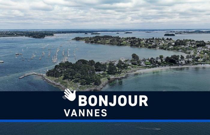 Liège, RCV, fraîcheur, Golfe du Morbihan… Bonjour Vannes !