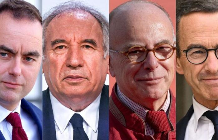 Lecornu, Bayrou, Cazeneuve… Who to replace Michel Barnier at Matignon?