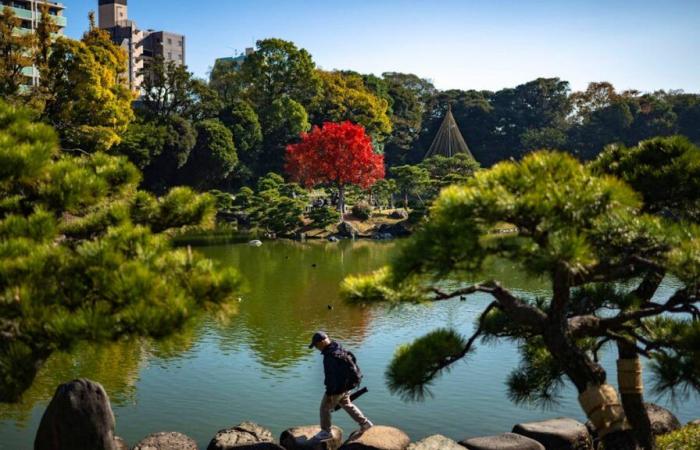 L’automne le plus chaud depuis le début des relevés il y a 126 ans