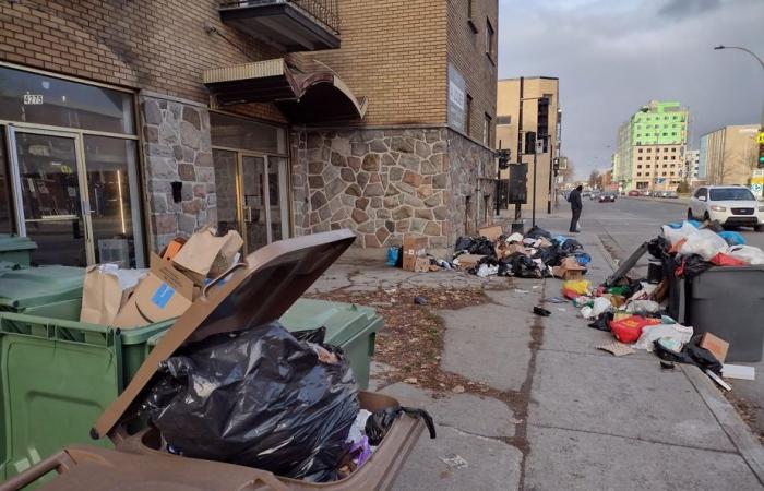 Maisonneuve | La collecte espacée des déchets suscite le mécontentement