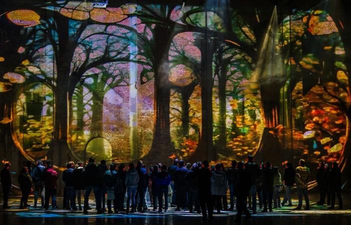 “La Halle aux Lumières”, a fabulous immersive and sensory tale