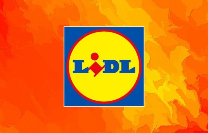 Alors que Lidl propose un prix similaire pour sa batterie externe, comment ne pas l’accepter ?