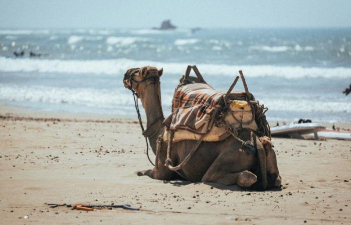 Afflux de retraités français à Agadir