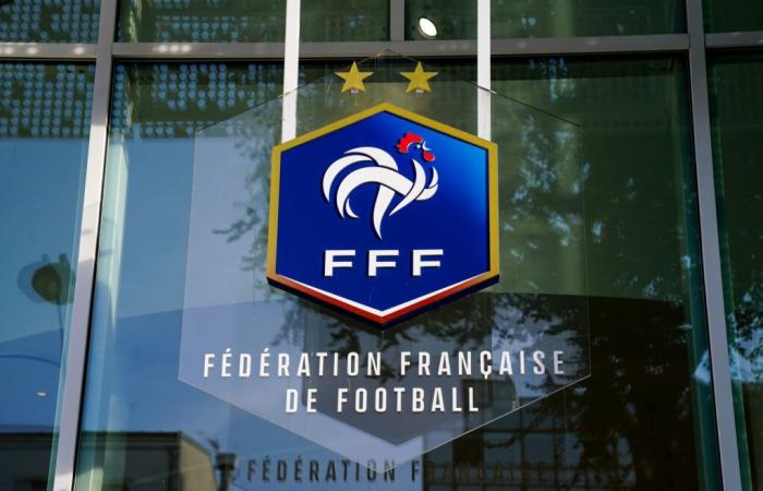 Elections FFF – Les deux candidats promettent la L3 et la VAR en Ligue 2