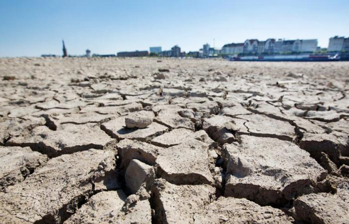 les sécheresses coûtent près de 300 milliards d’euros par an