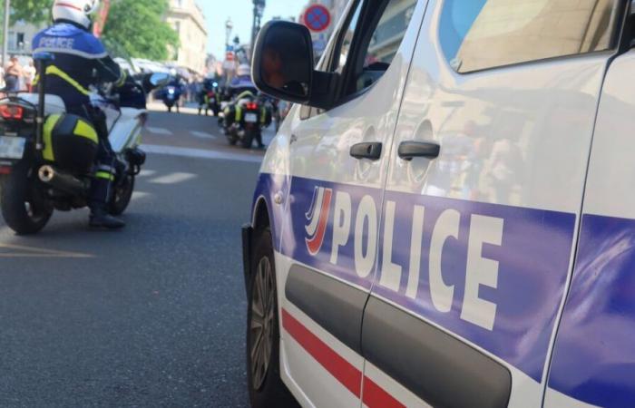 520 kg de cannabis destiné au trafic de drogue saisis par la police