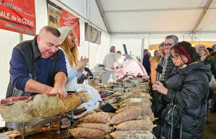 En Gironde, cette foire vieille de plus de 500 ans revient avec une programmation attractive