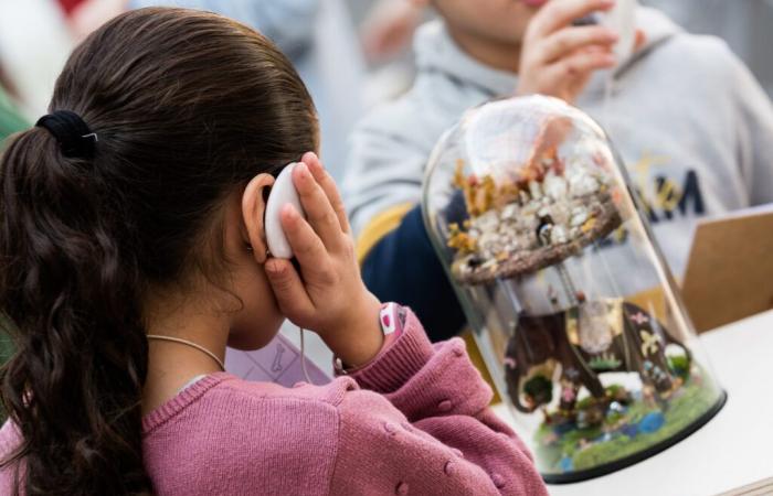 ATELIER ADULTE/ENFANT AUX SONS DE VOTRE GROTTE Chanac samedi 8 février 2025