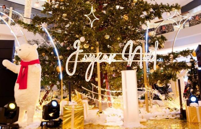 Le centre commercial Toison d’or propose “un Noël magique et solidaire”