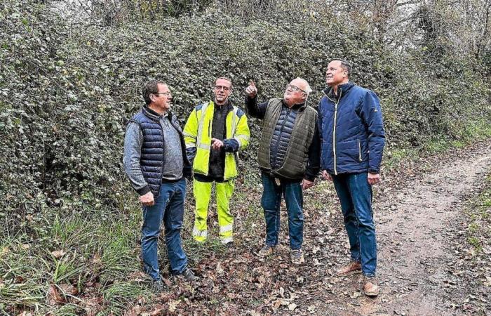 dans le Finistère, cette ville remet le récurage à la mode