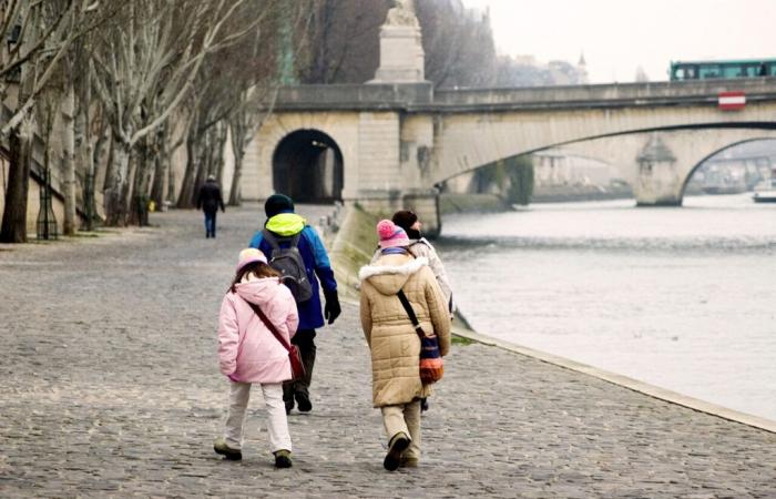 Bulletin météo. Un vent frais soufflera sur Paris et l’Île-de-France, avec des rafales pouvant atteindre 70 km/h attendues.