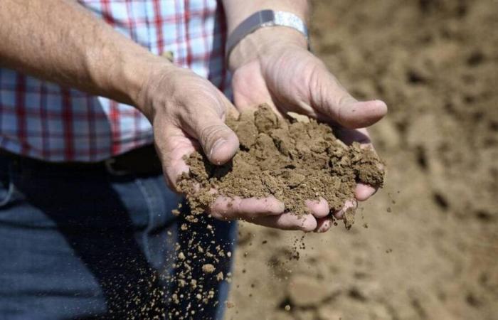 une application Météo France pour s’adapter au réchauffement