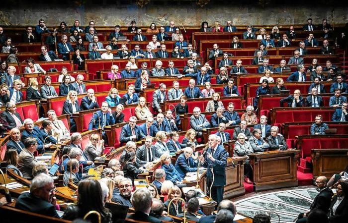 ce pour quoi voteront les députés bretons