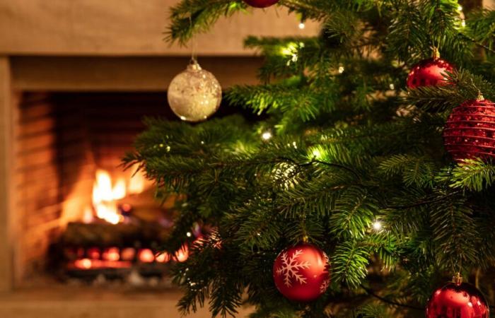 7 endroits pour acheter votre plus beau sapin de Noël à Paris