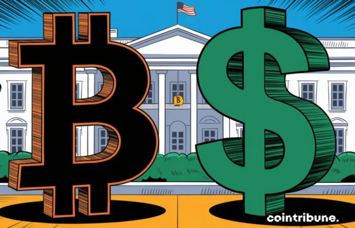 Trump entre le dollar et le Bitcoin