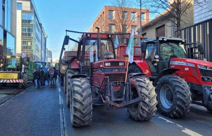 les agriculteurs des Hauts-de-France fatigués et inquiets d’un nouveau retour à la case départ