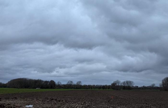 Bulletin météo. Quelle météo pour ce mercredi 4 décembre dans les Hauts-de-France ?