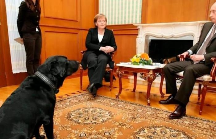 17 ans plus tard, le président Poutine présente ses excuses à Merkel suite à un incident avec un chien