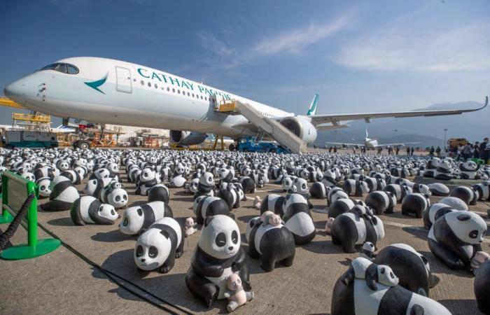 Hong Kong exposera 2 500 sculptures de pandas dans ses rues pour stimuler l’économie locale