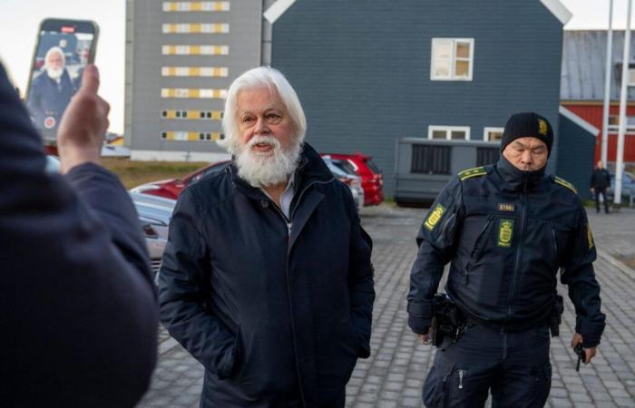 Le Groenland prolonge la détention du militant anti-chasse à la baleine Paul Watson