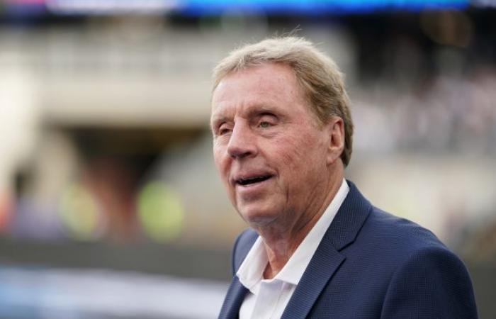 « Superbe » Enzo commence à rembourser ses frais de transfert, déclare Harry Redknapp