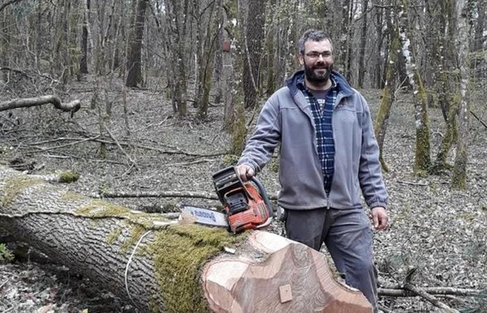 de la Gironde à Paris, un de ses chênes a servi à la reconstruction de Notre-Dame