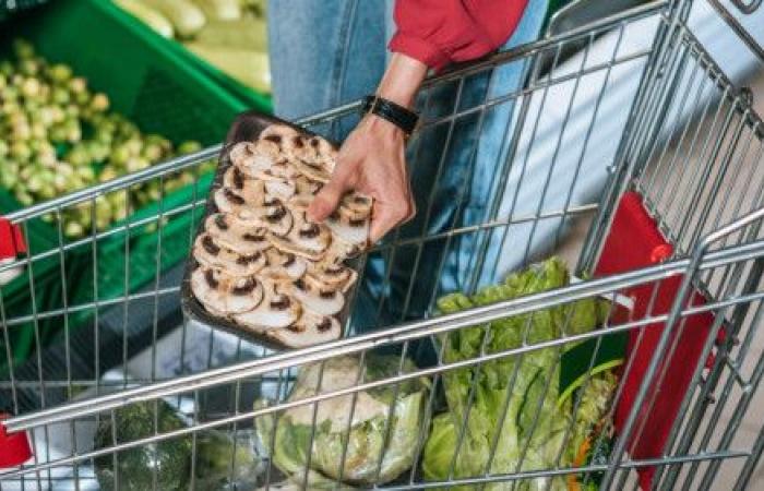 Trente tonnes de denrées alimentaires collectées à Fribourg