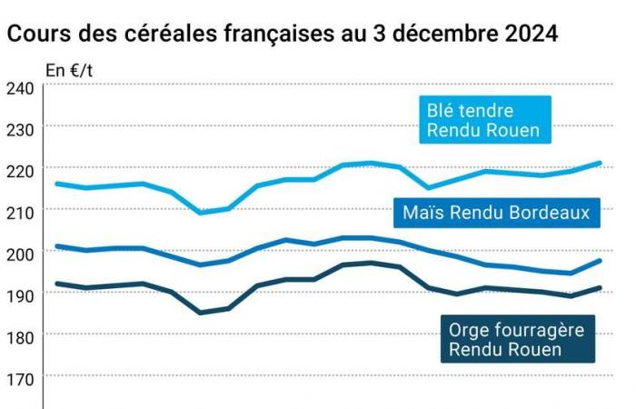 Céréales – Les prix du blé et du maïs augmentent grâce à la dépréciation de l’euro face au dollar