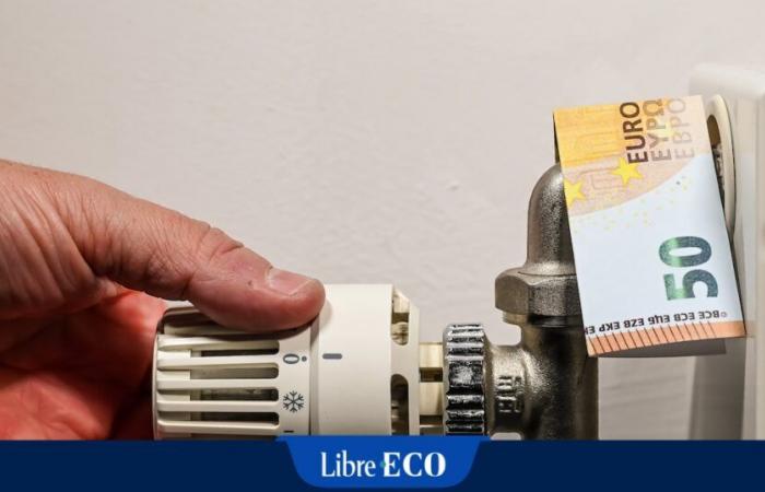 La distribution d’énergie coûtera plus cher en Wallonie