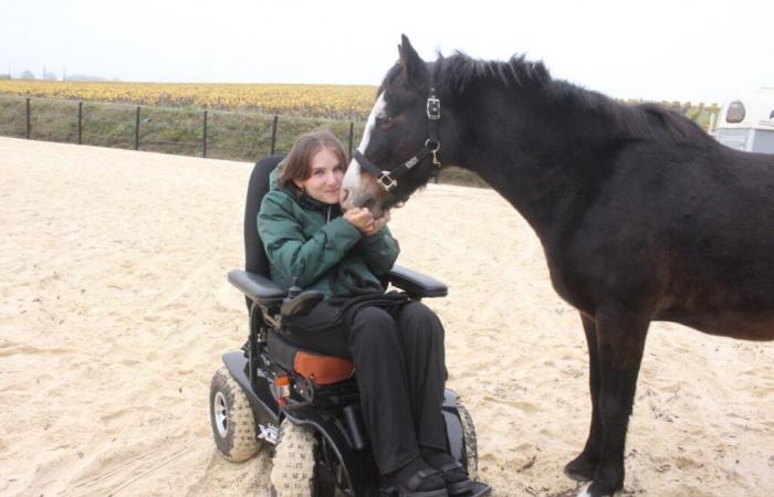 Quadriplégique à 16 ans après une chute, Sarah se reconstruit… avec ses chevaux en Loire-Atlantique