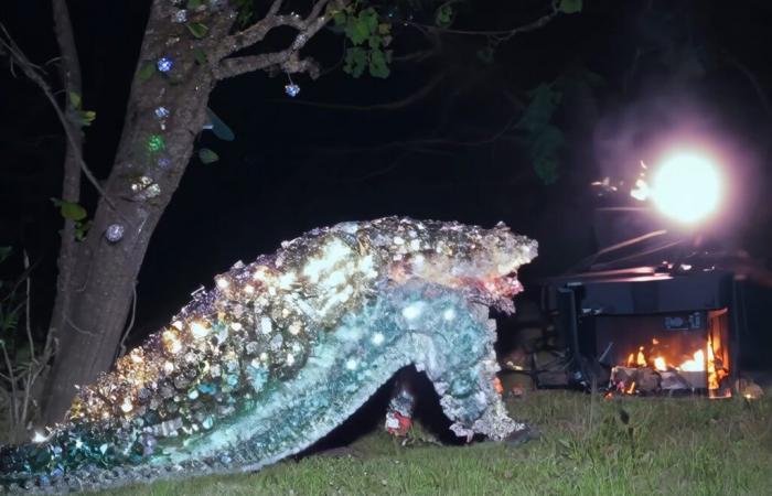 Au Centre Pompidou, Björk alerte sur la crise climatique