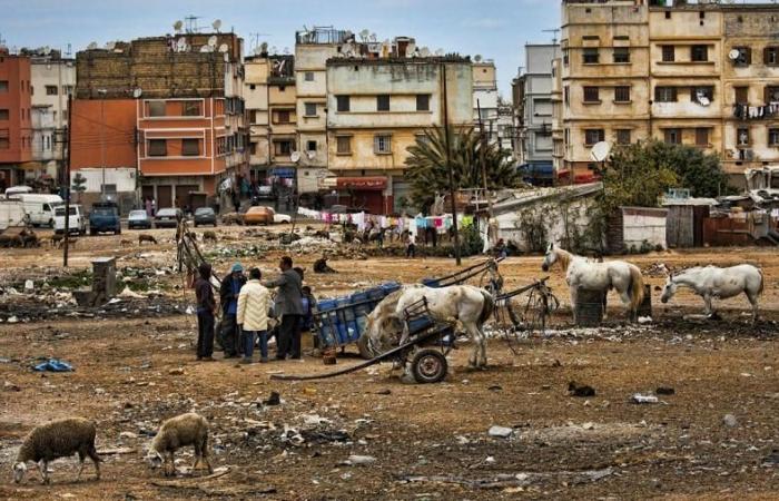 Ce noble geste de l’Algérie qui prouve la tolérance envers les citoyens marocains