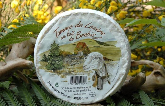 Fromage de Lozère rappelé dans toute la France