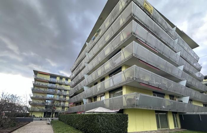 L’héritière de Sugus House licencie 105 locataires afin de pouvoir rénover complètement