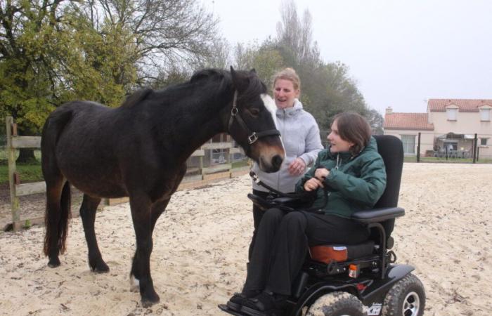 Quadriplégique à 16 ans après une chute, Sarah se reconstruit… avec ses chevaux en Loire-Atlantique