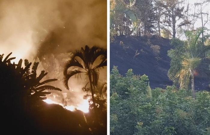 Après la reprise des feux de forêt hier soir, le feu est enfin maîtrisé à Atima