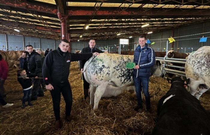 En Mayenne, la Fête de la Viande de Noël a récompensé de nombreux éleveurs