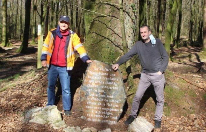 un jeu mystérieux avec 75 000 écoliers dans la forêt