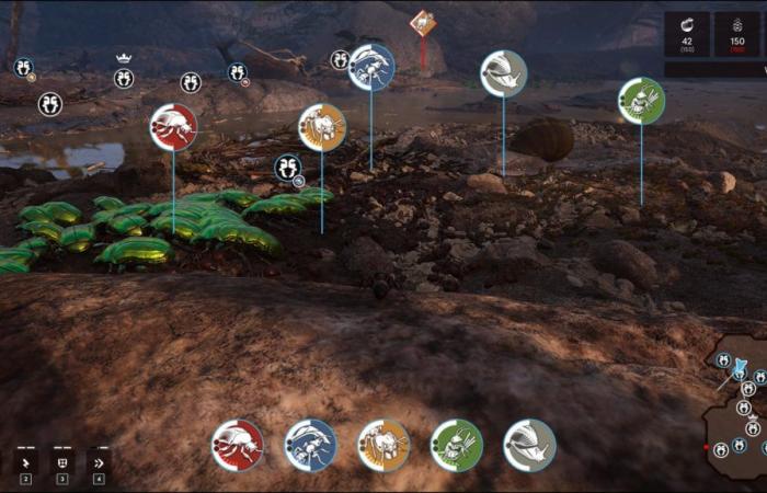 JVMag – TEST – Les Fourmis (Empire des Fourmis), un RTS Microcosmos