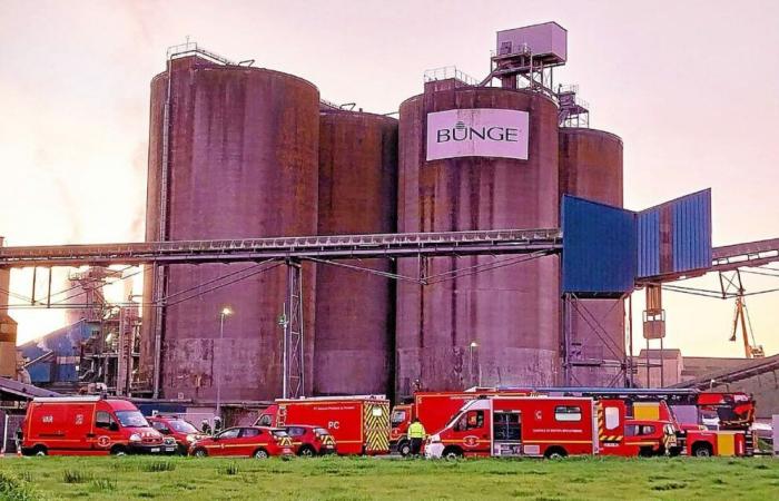 À Brest, un incendie démarre chez le géant du soja Bunge au port de commerce [Vidéo]