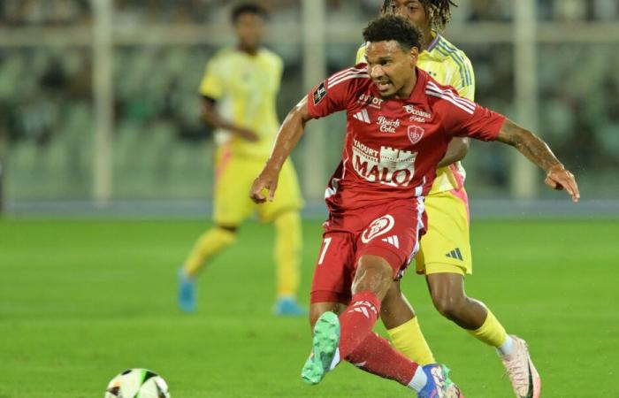 Several significant potential absences in Brittany for LOSC – Stade Brestois