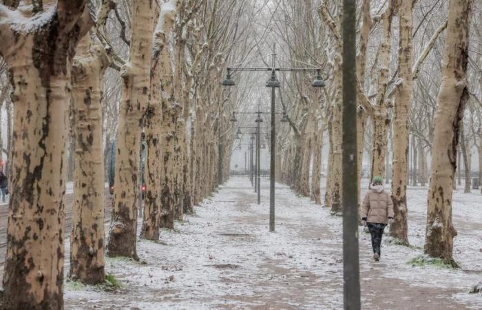 une « descente d’air polaire » dès dimanche, l’hiver lance une offensive la semaine prochaine en France