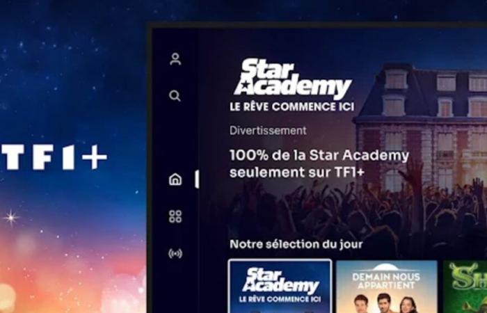 Comment regarder TF1 depuis l’étranger ?