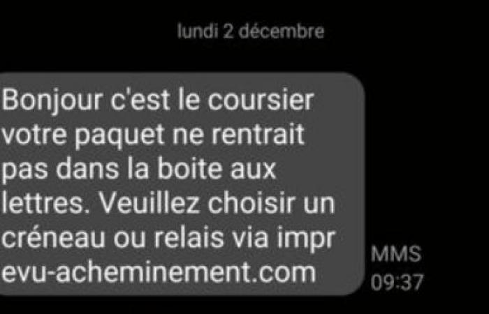 Attendez-vous vos cadeaux de vacances? Attention à ces arnaques à la livraison de colis SMS