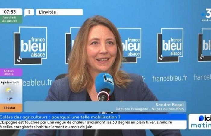 Le gouvernement résistera-t-il à la motion de censure ? Sandra Regol, députée écologiste du Bas-Rhin